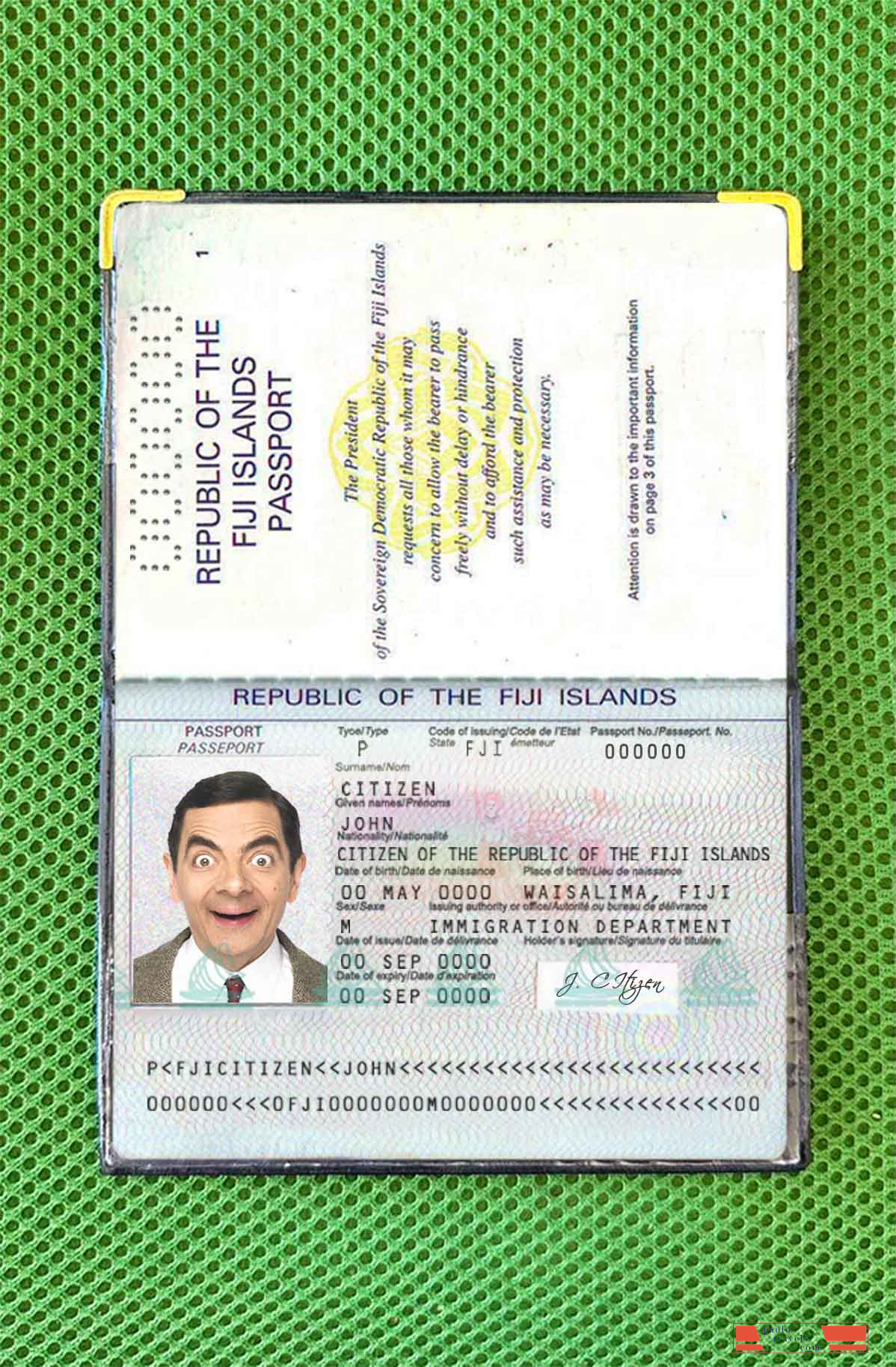 Fiji passport photo look PSD template